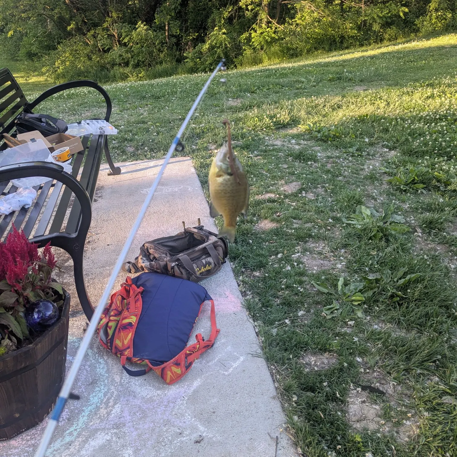 recently logged catches