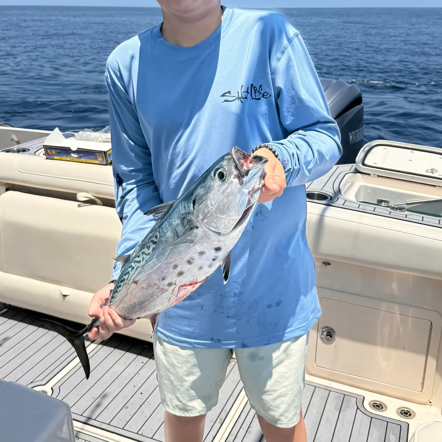 The most recent Little tunny catches on Fishbrain