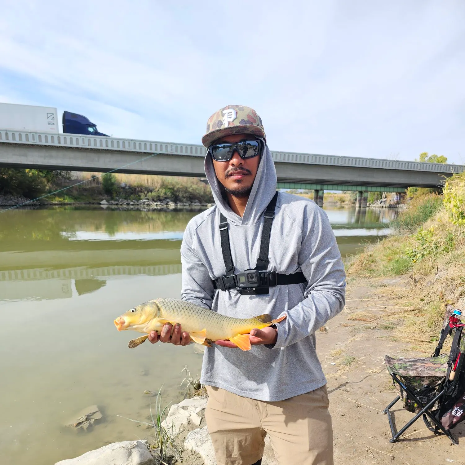 Common carp caught on Fishbrain