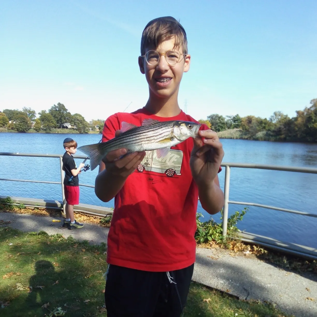 Striped bass caught on Fishbrain