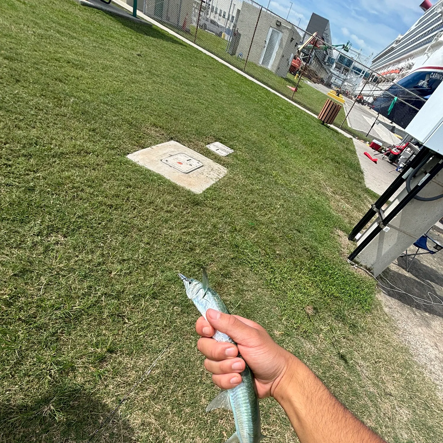 catch