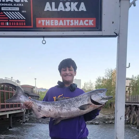 Chinook salmon caught on Fishbrain