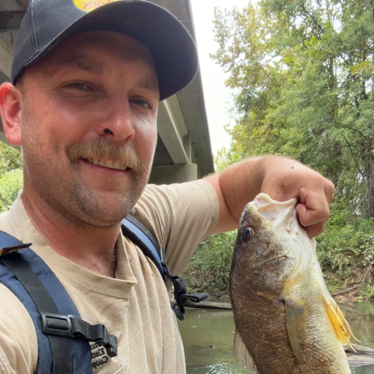 Freshwater drum caught on Fishbrain