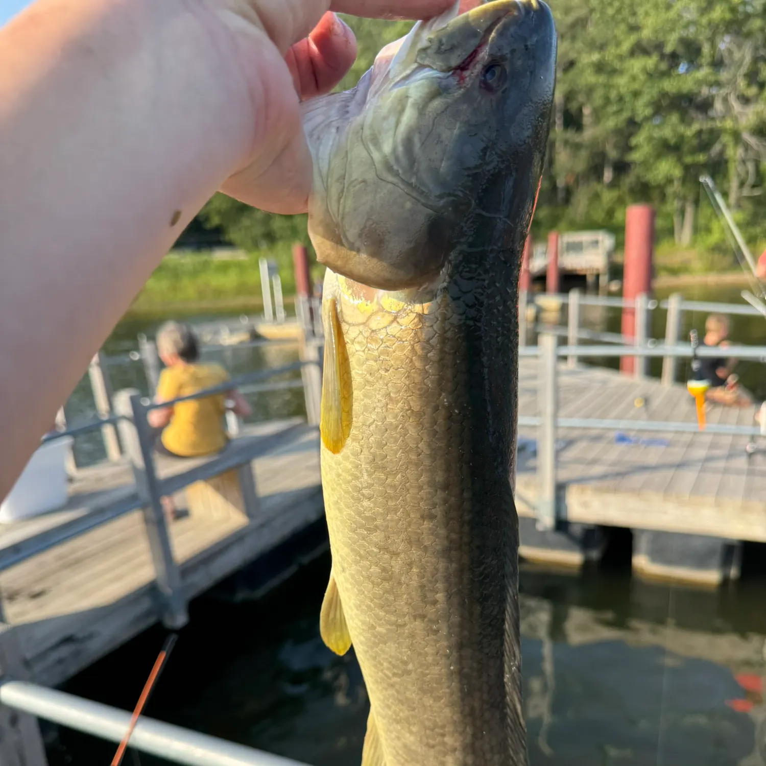 catch