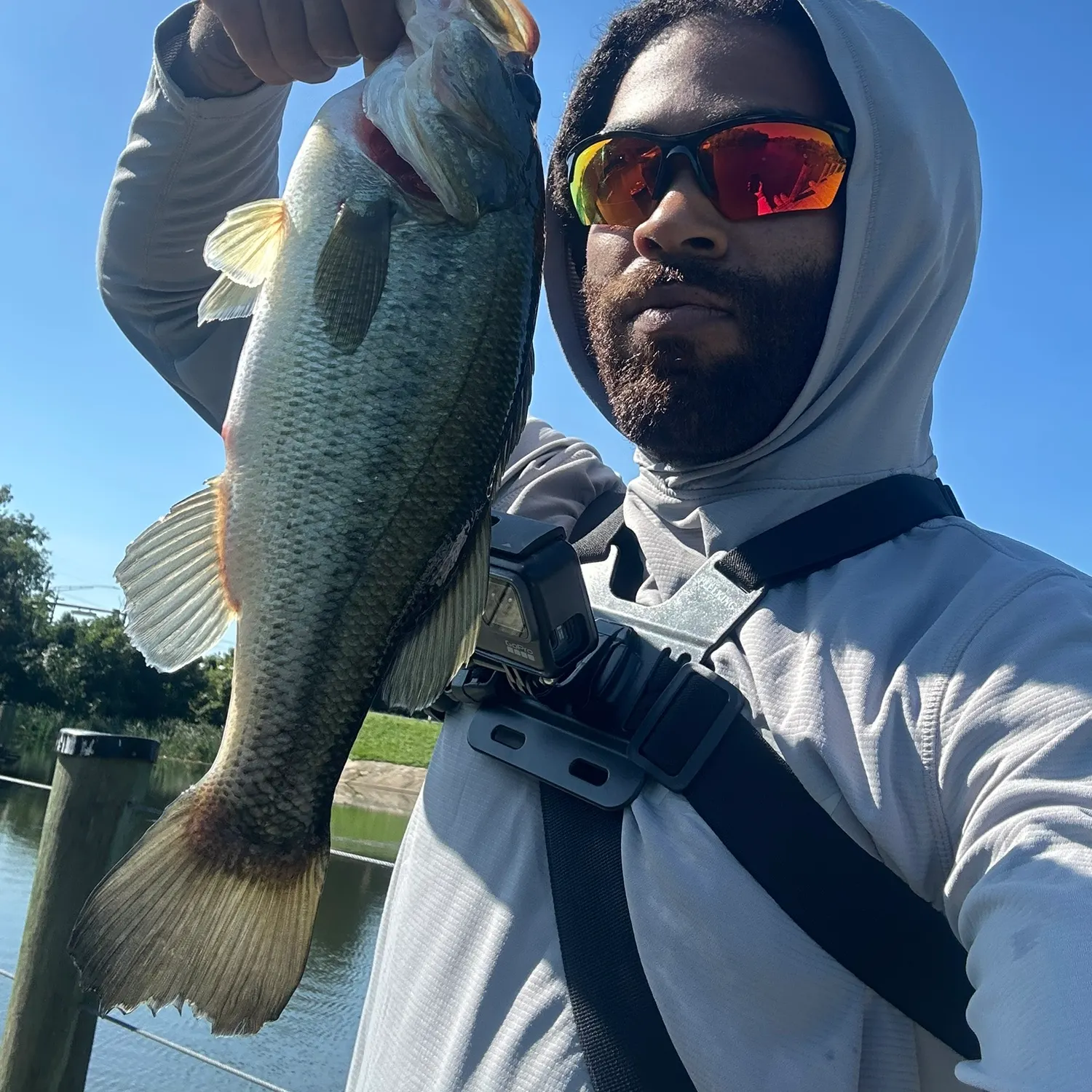 Largemouth bass caught on Fishbrain