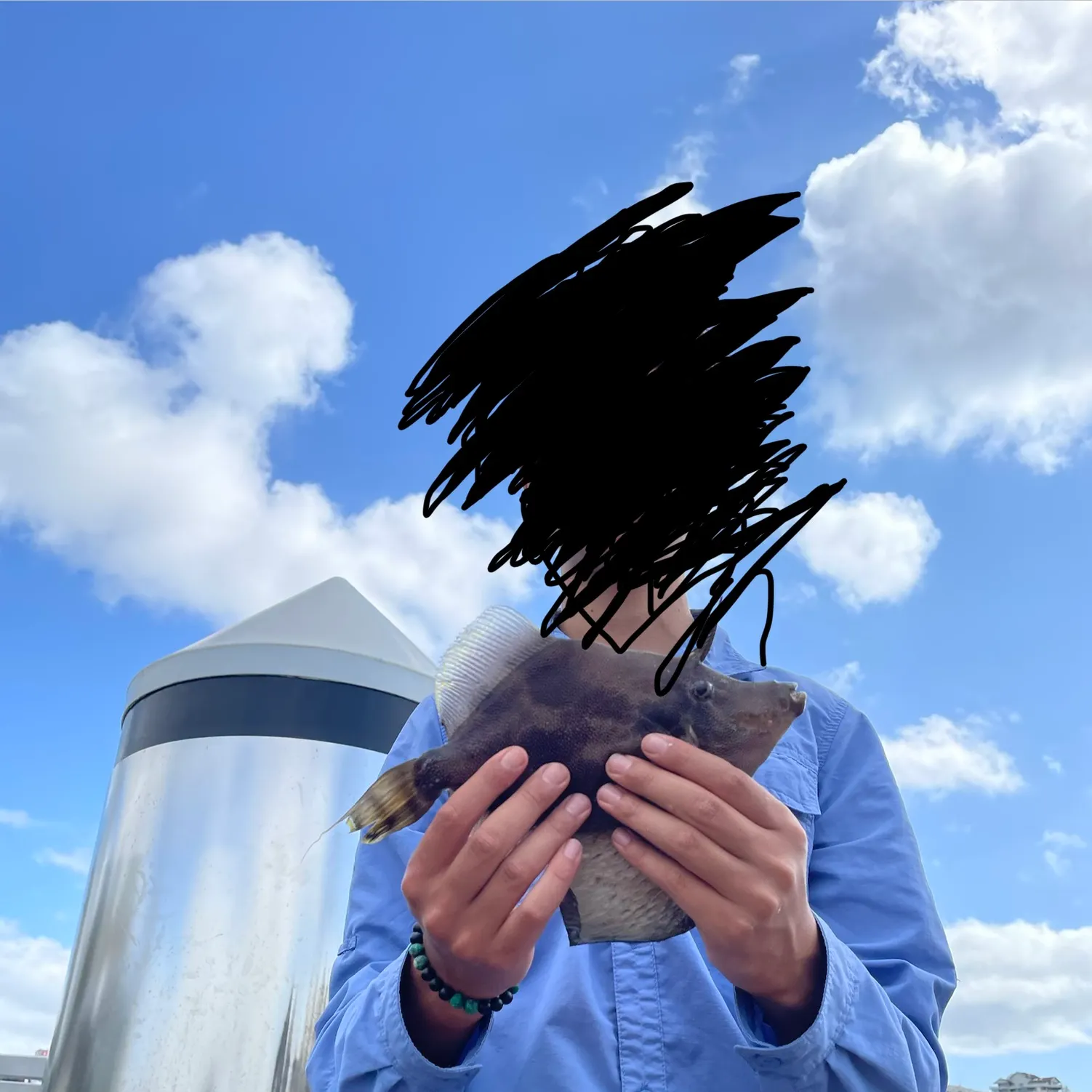 The most recent Fan-bellied leatherjacket catches on Fishbrain