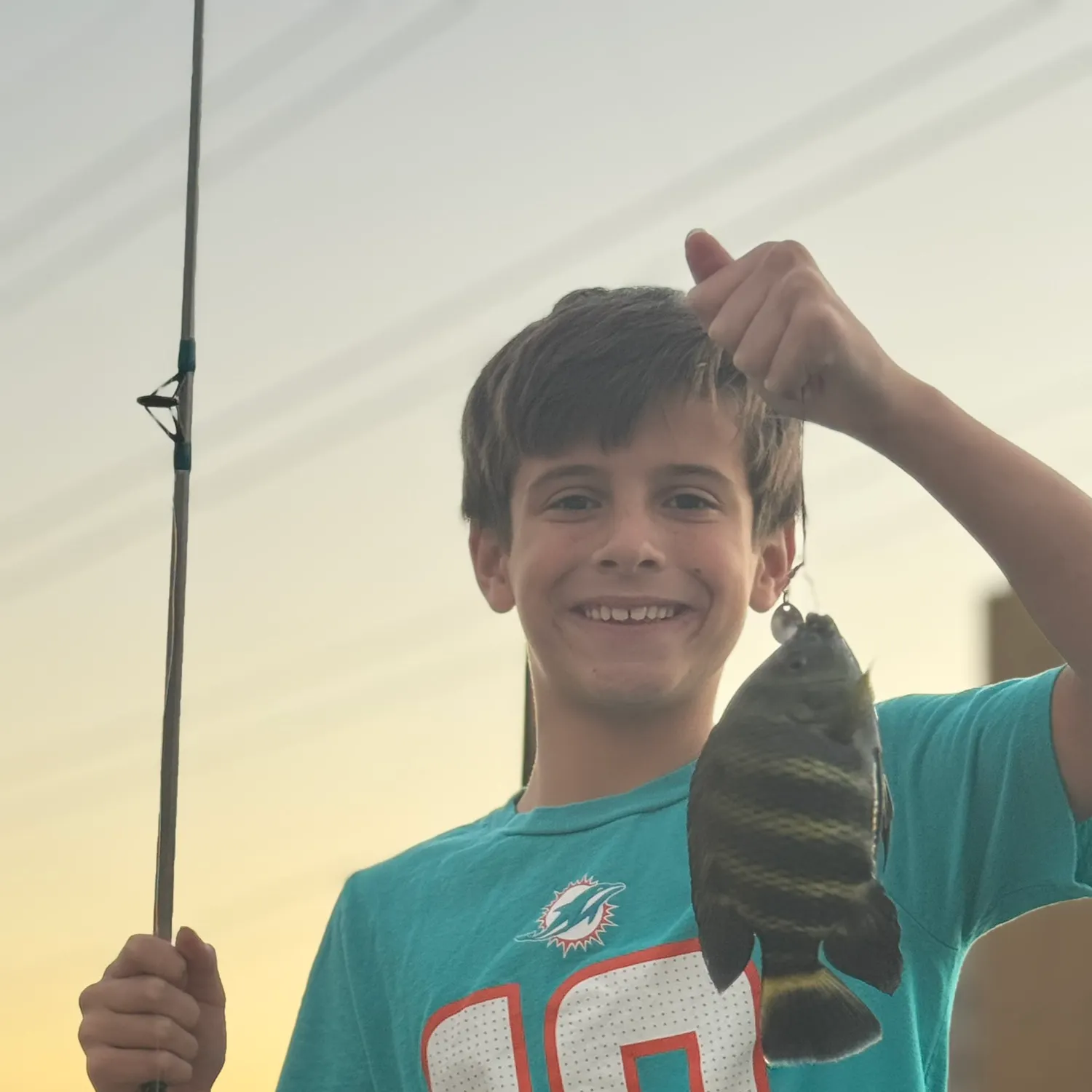 The most recent Zebra tilapia catches on Fishbrain