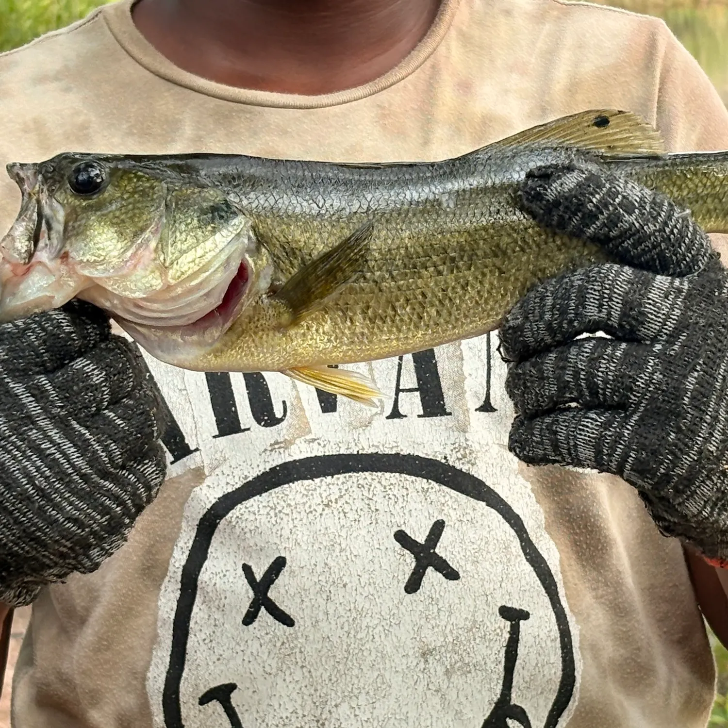 Largemouth bass caught on Fishbrain
