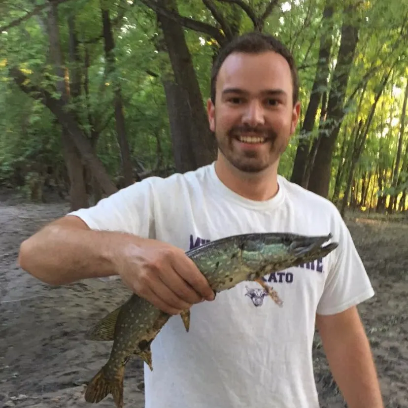 The most recent Northern pike catches on Fishbrain