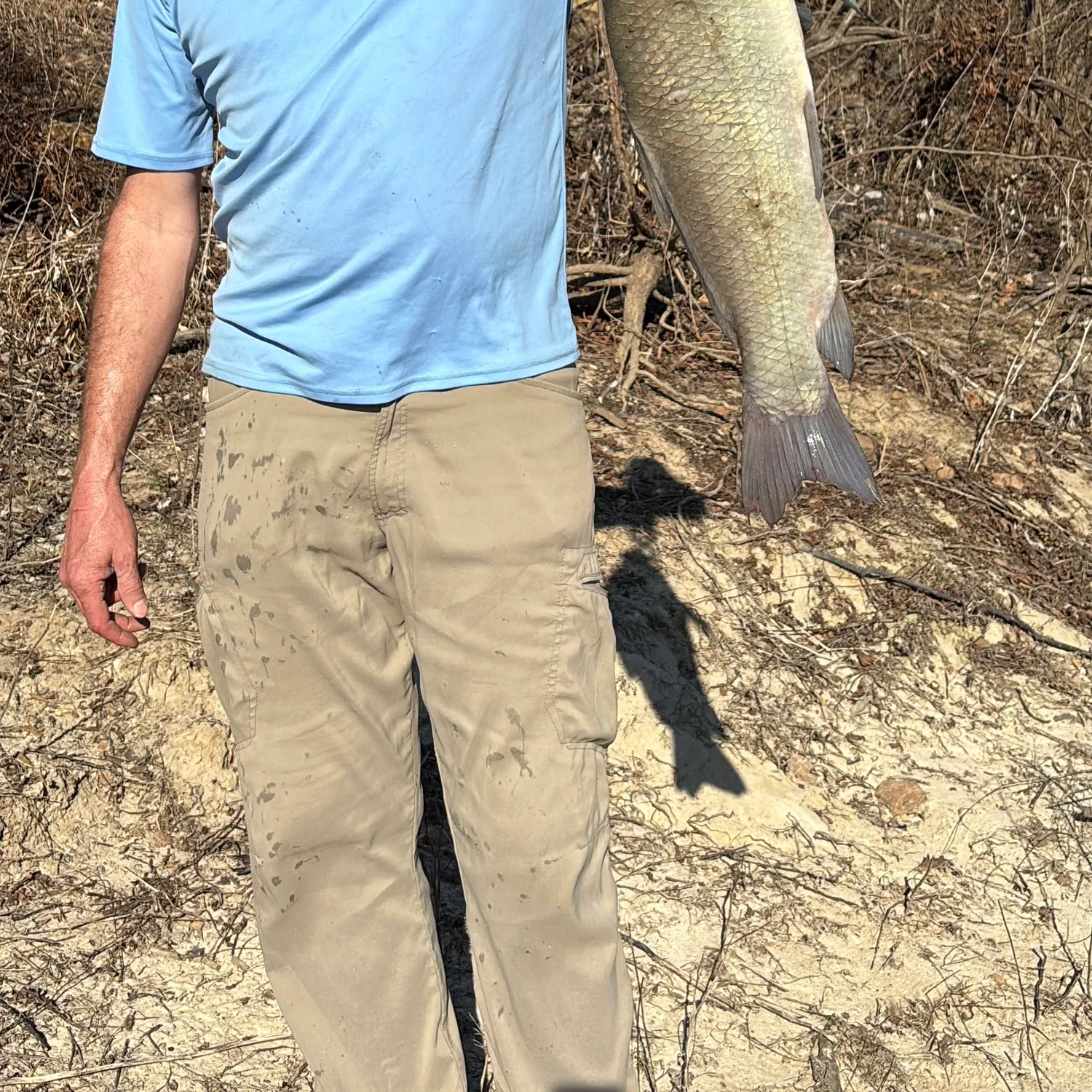 The most recent Bigmouth buffalo catches on Fishbrain
