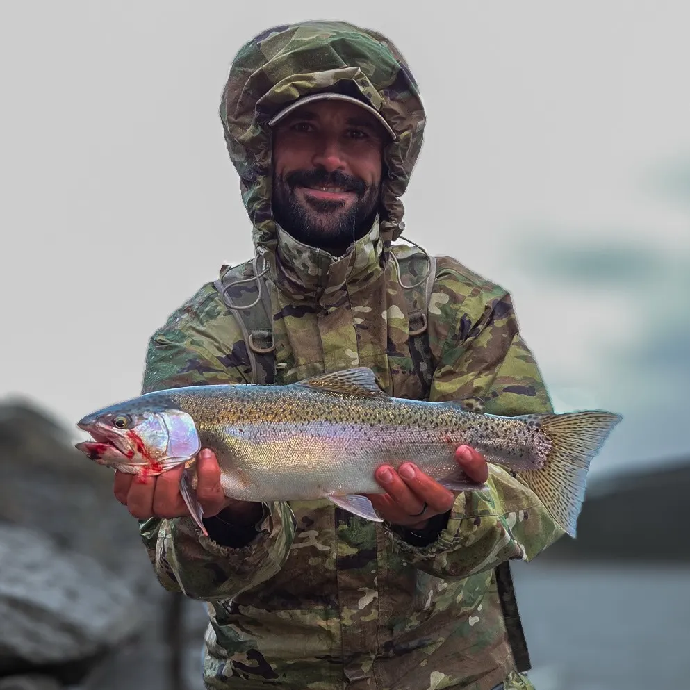 Rainbow trout caught on Fishbrain
