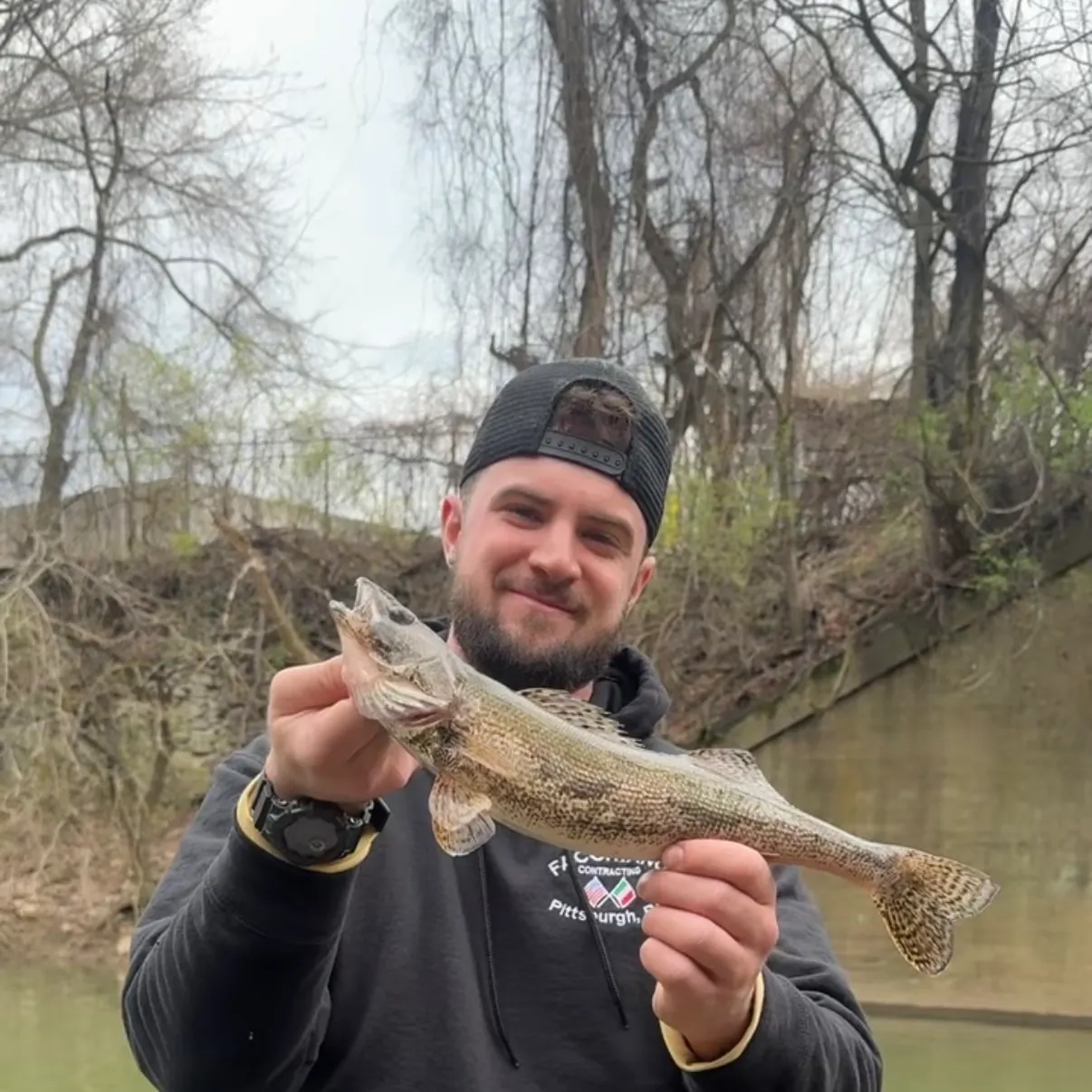 The most recent Sauger catches on Fishbrain