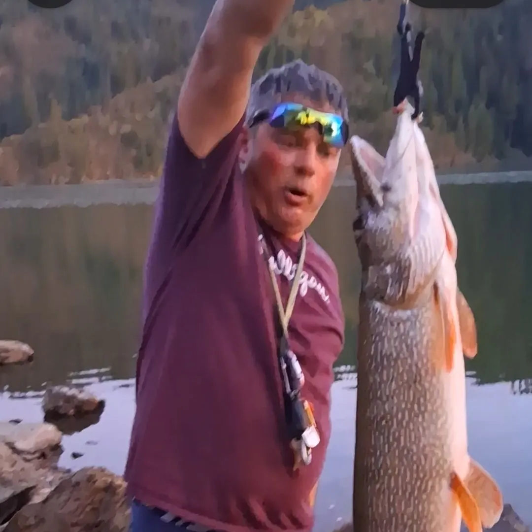Northern pike caught on Fishbrain