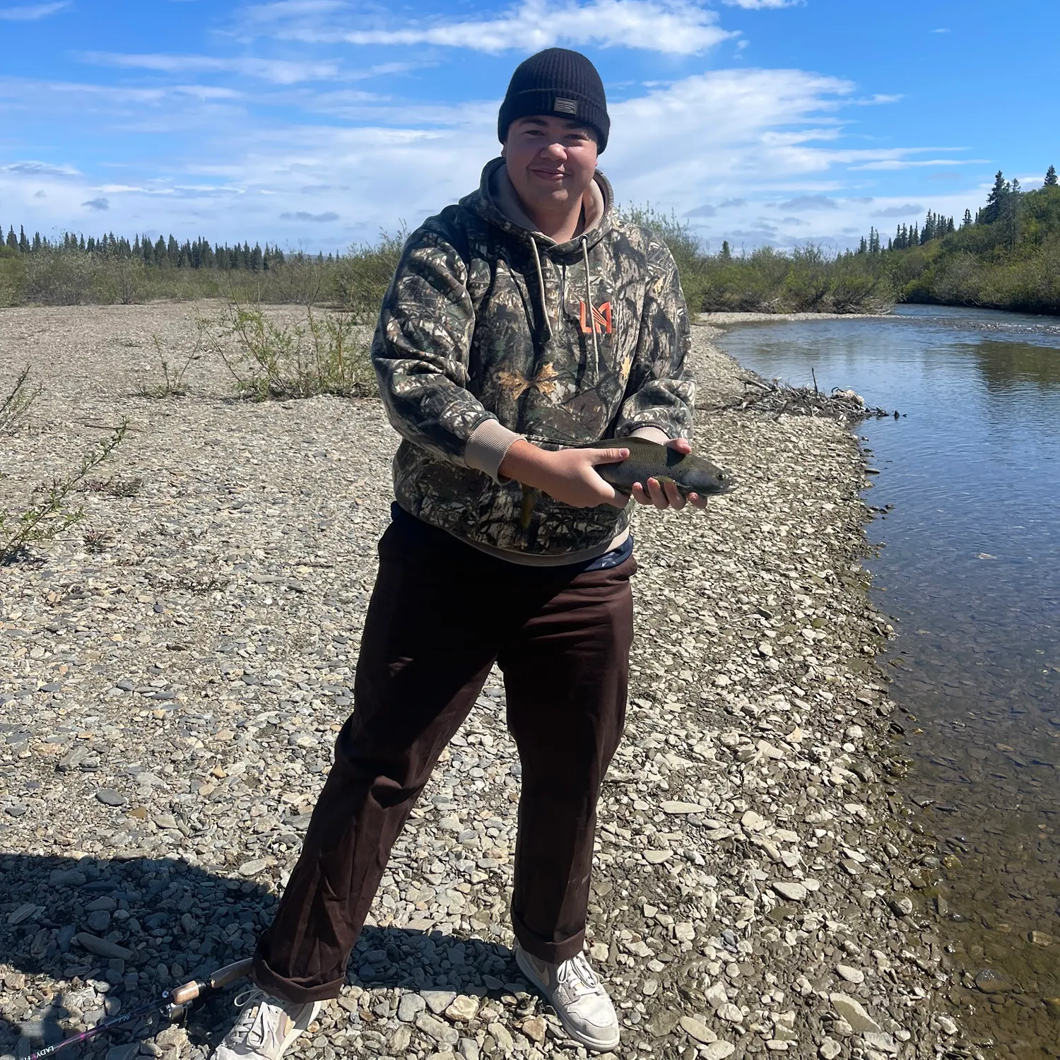 Arctic grayling caught on Fishbrain