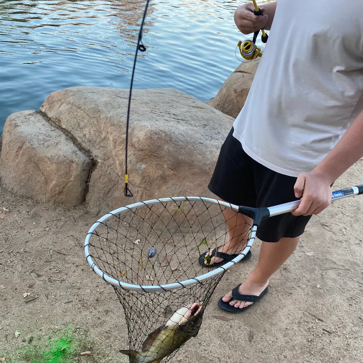 catch