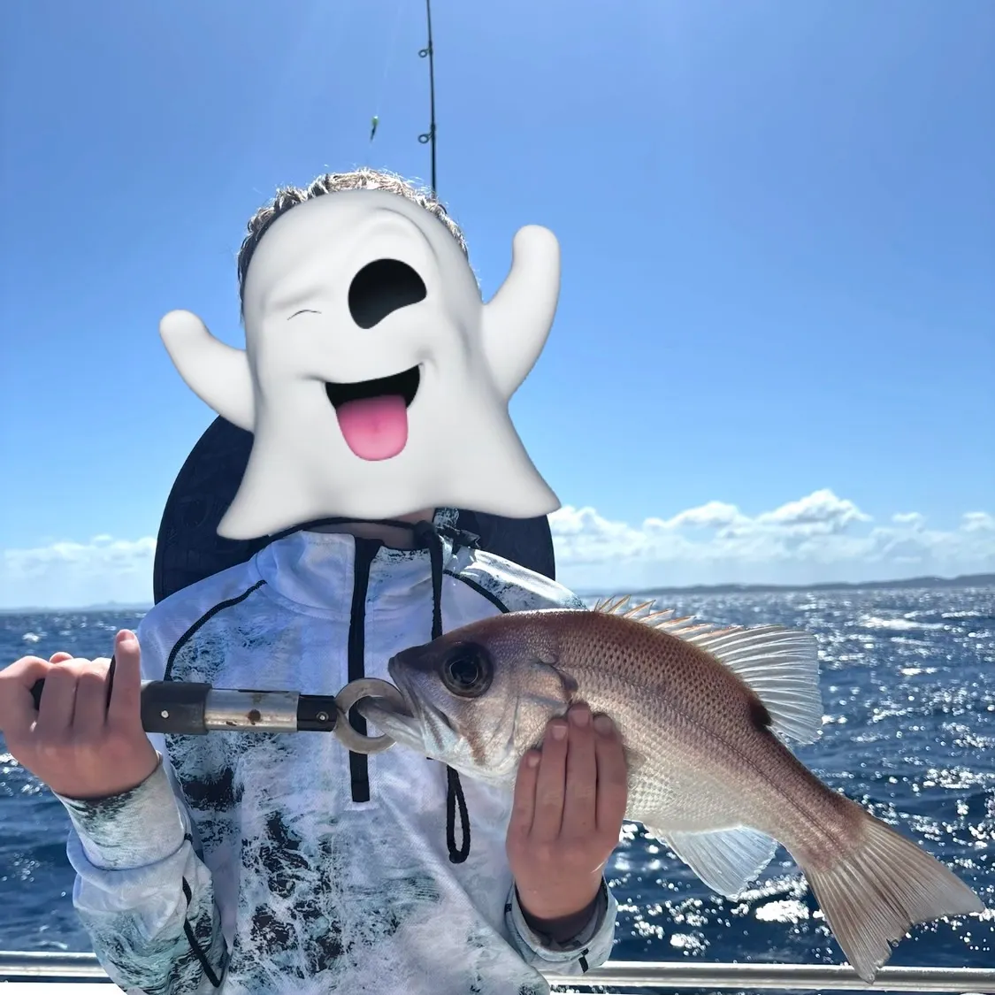 The most recent Pearl perch catches on Fishbrain