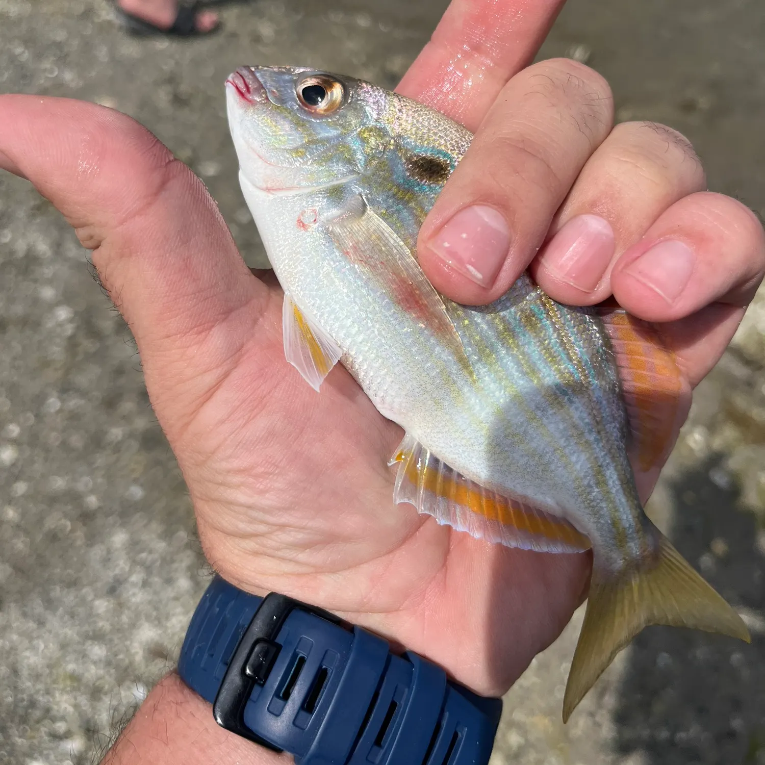 catch
