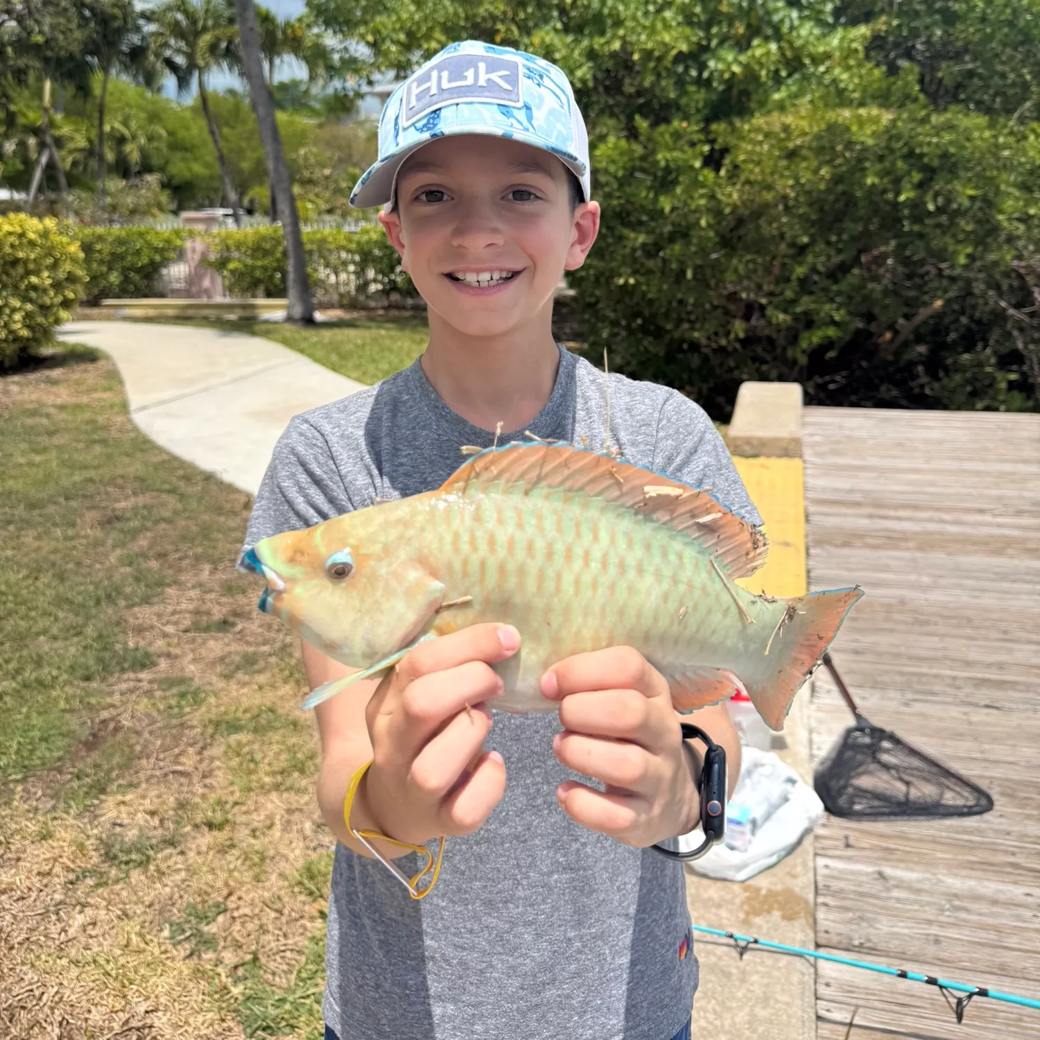 The most popular recent Common parrotfish catch on Fishbrain