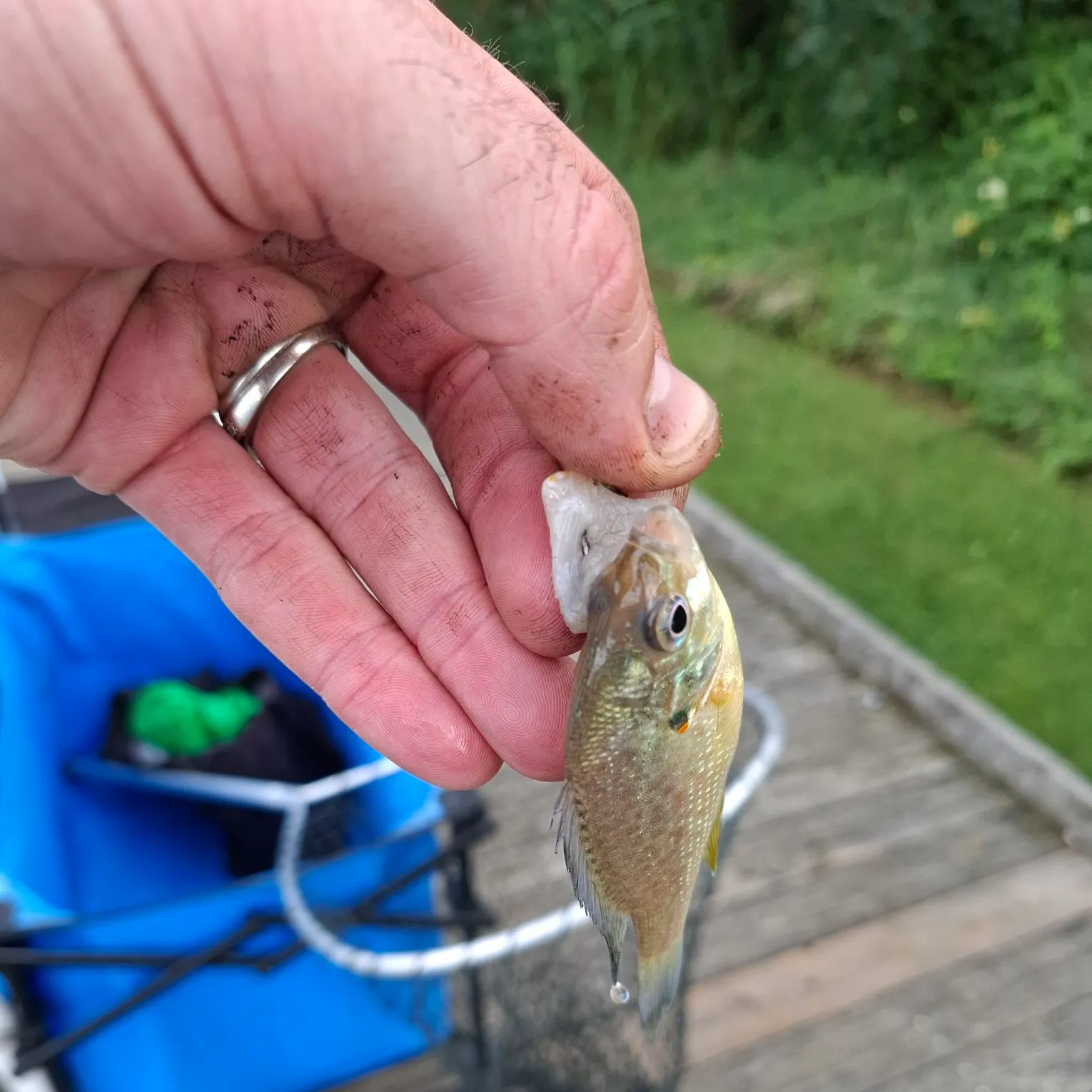 catch