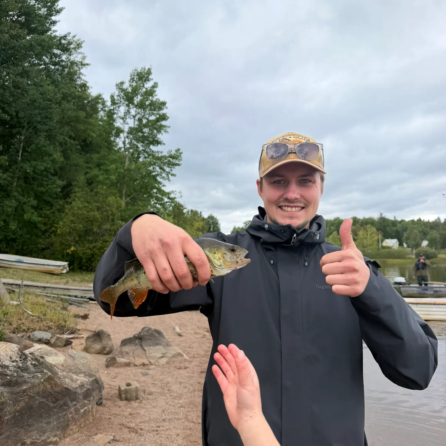 European perch caught on Fishbrain