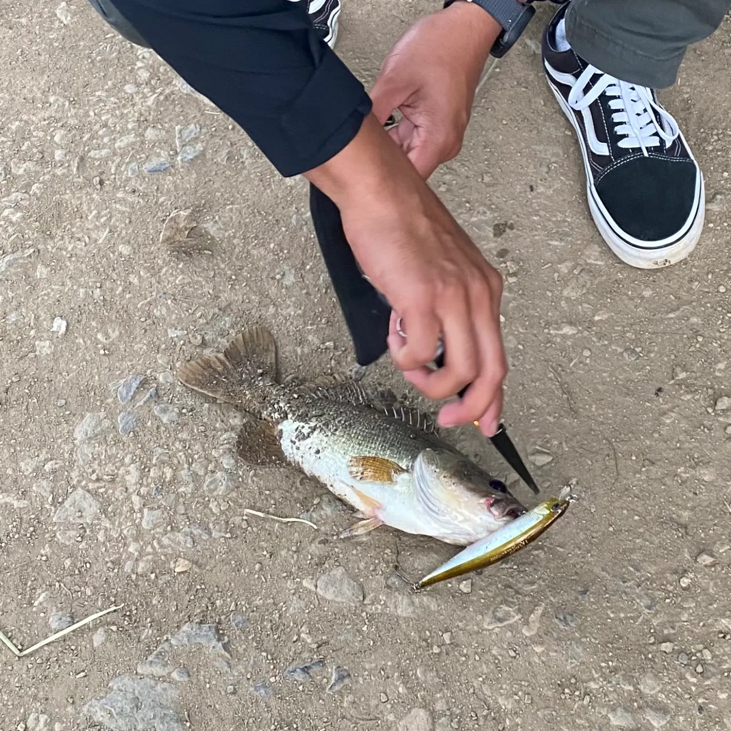 catch