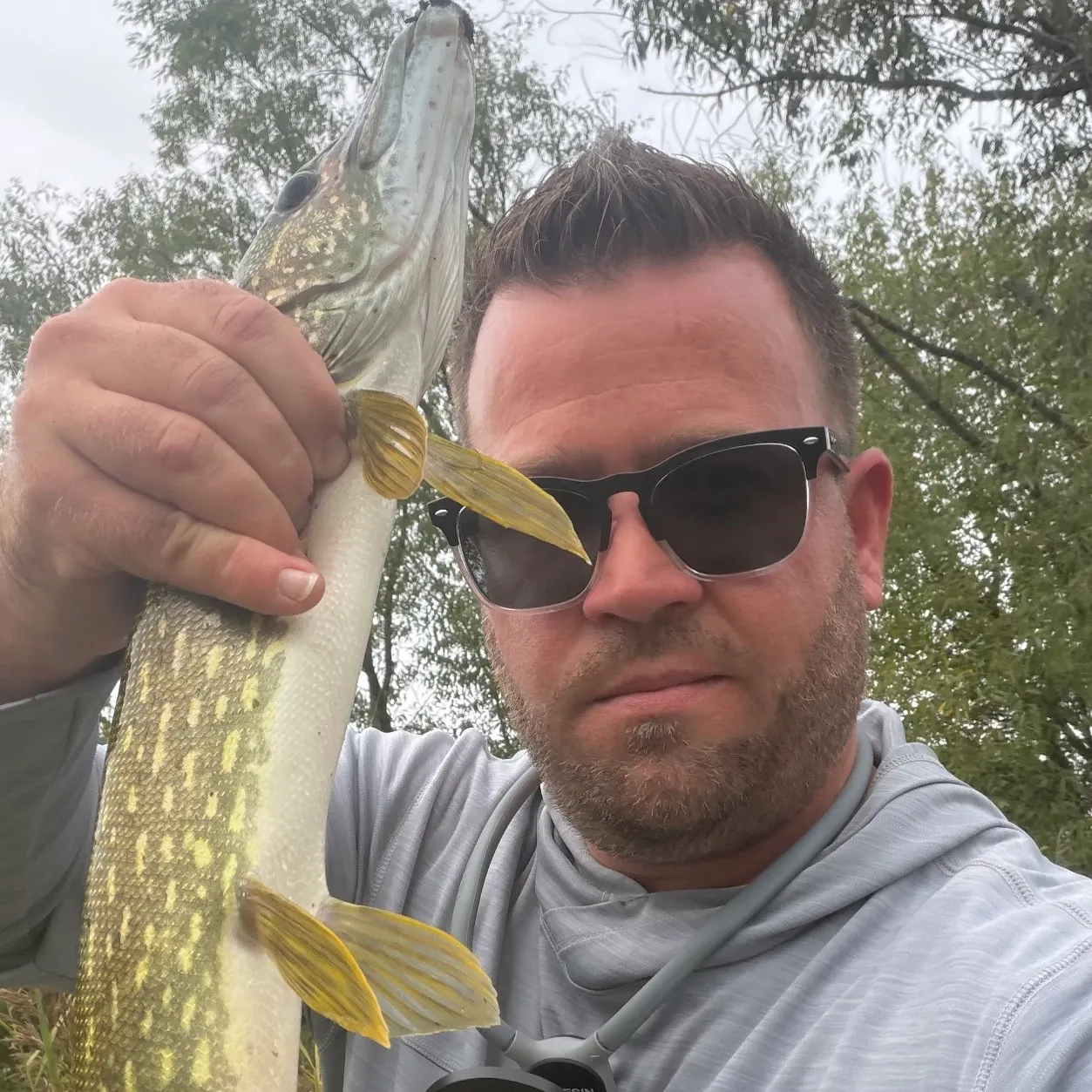 Northern pike caught on Fishbrain