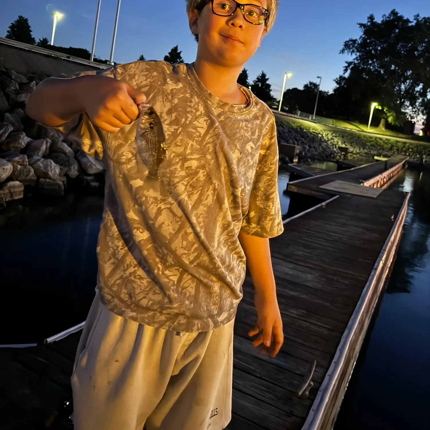 Rock bass caught on Fishbrain