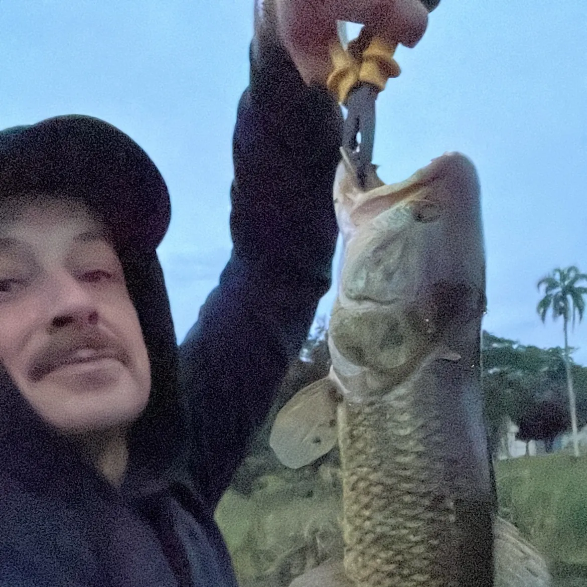 The most recent Trahira catches on Fishbrain