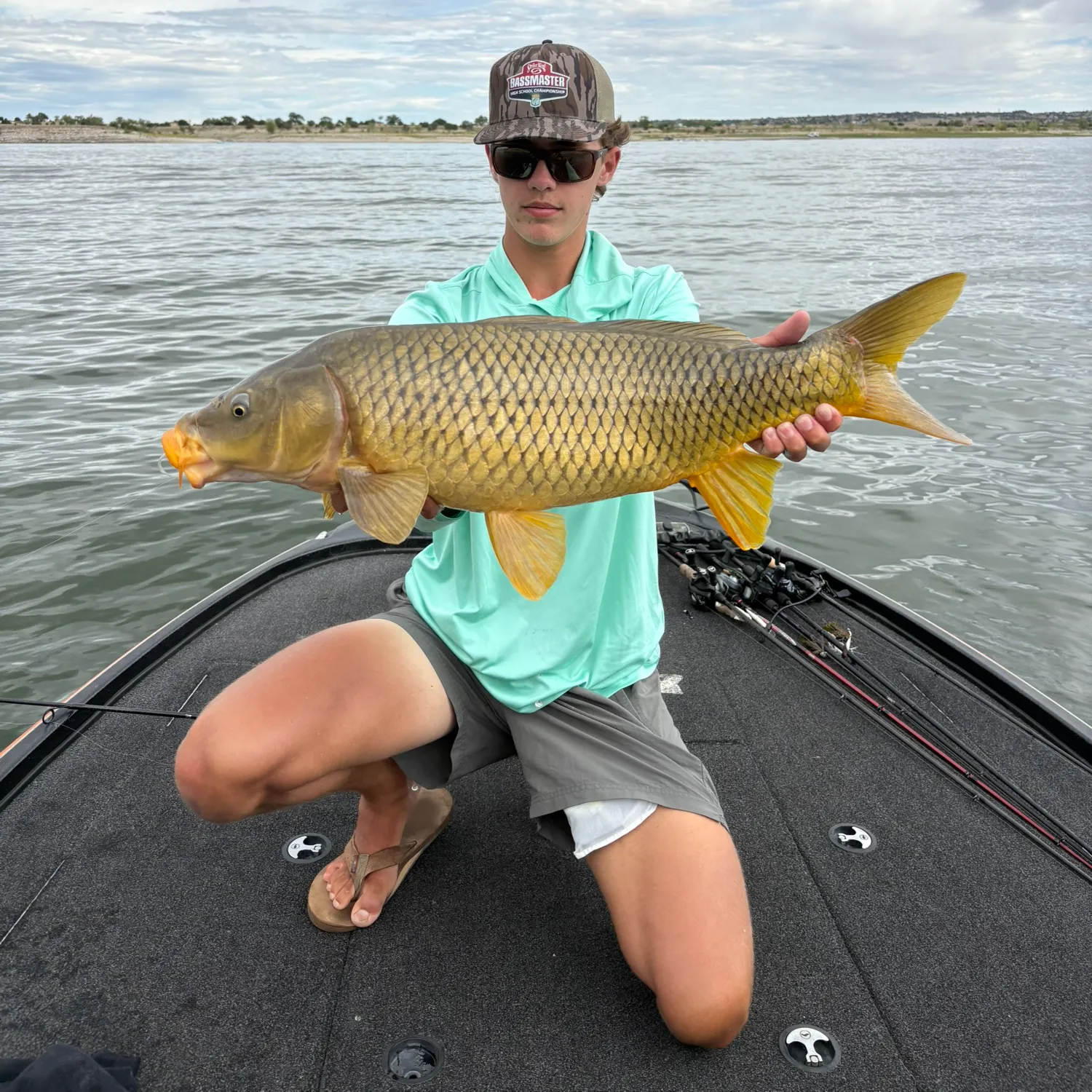 Common carp caught on Fishbrain