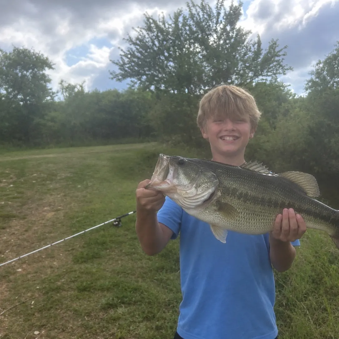 Fish caught on Fishbrain