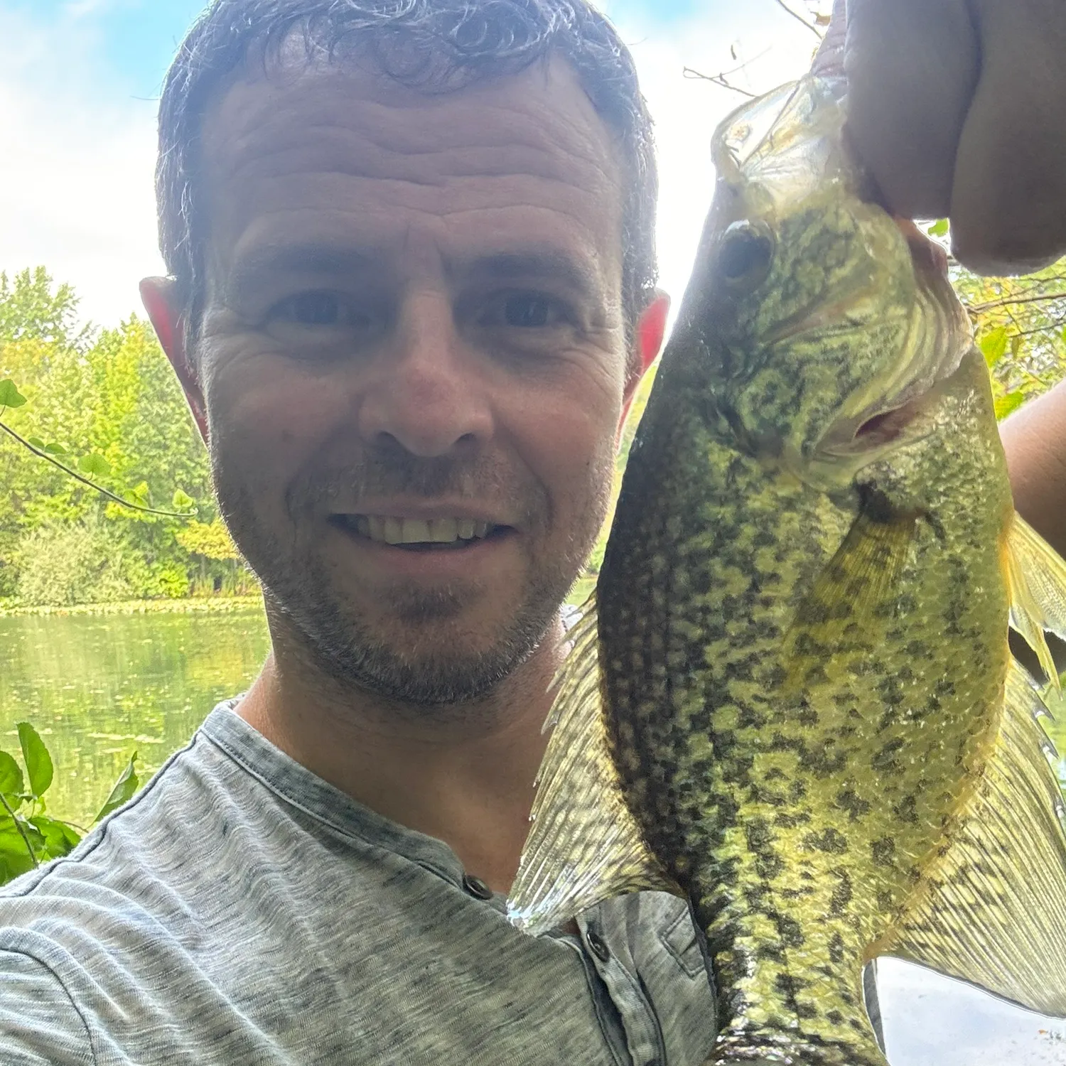Black crappie caught on Fishbrain