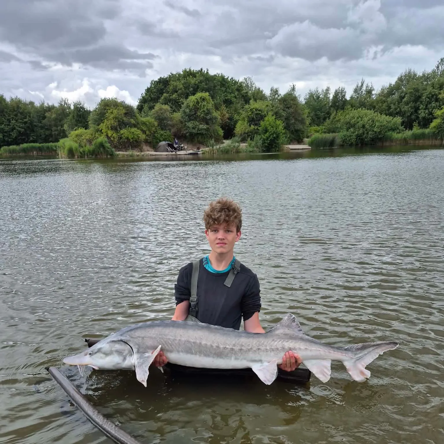 The most recent White sturgeon catches on Fishbrain