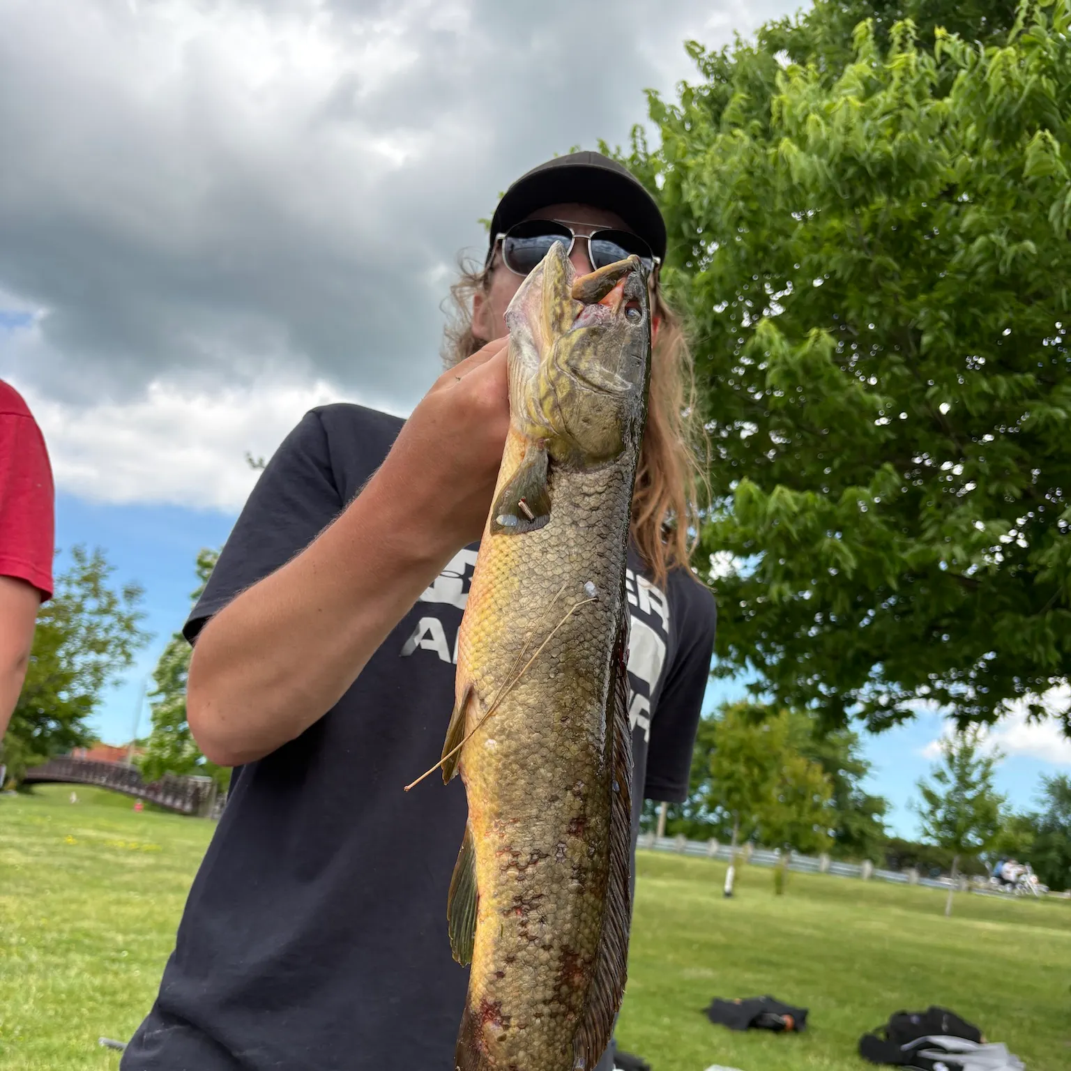 The most recent Eyetail bowfin catches on Fishbrain