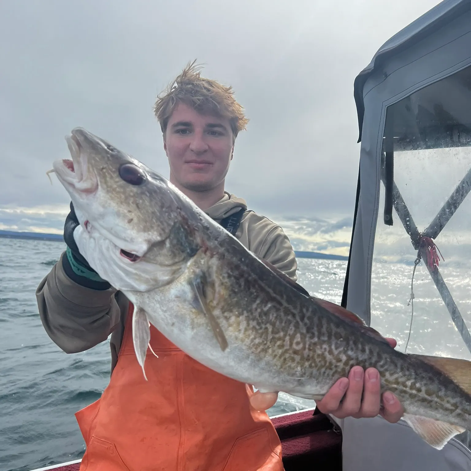 The most recent Pacific cod catches on Fishbrain
