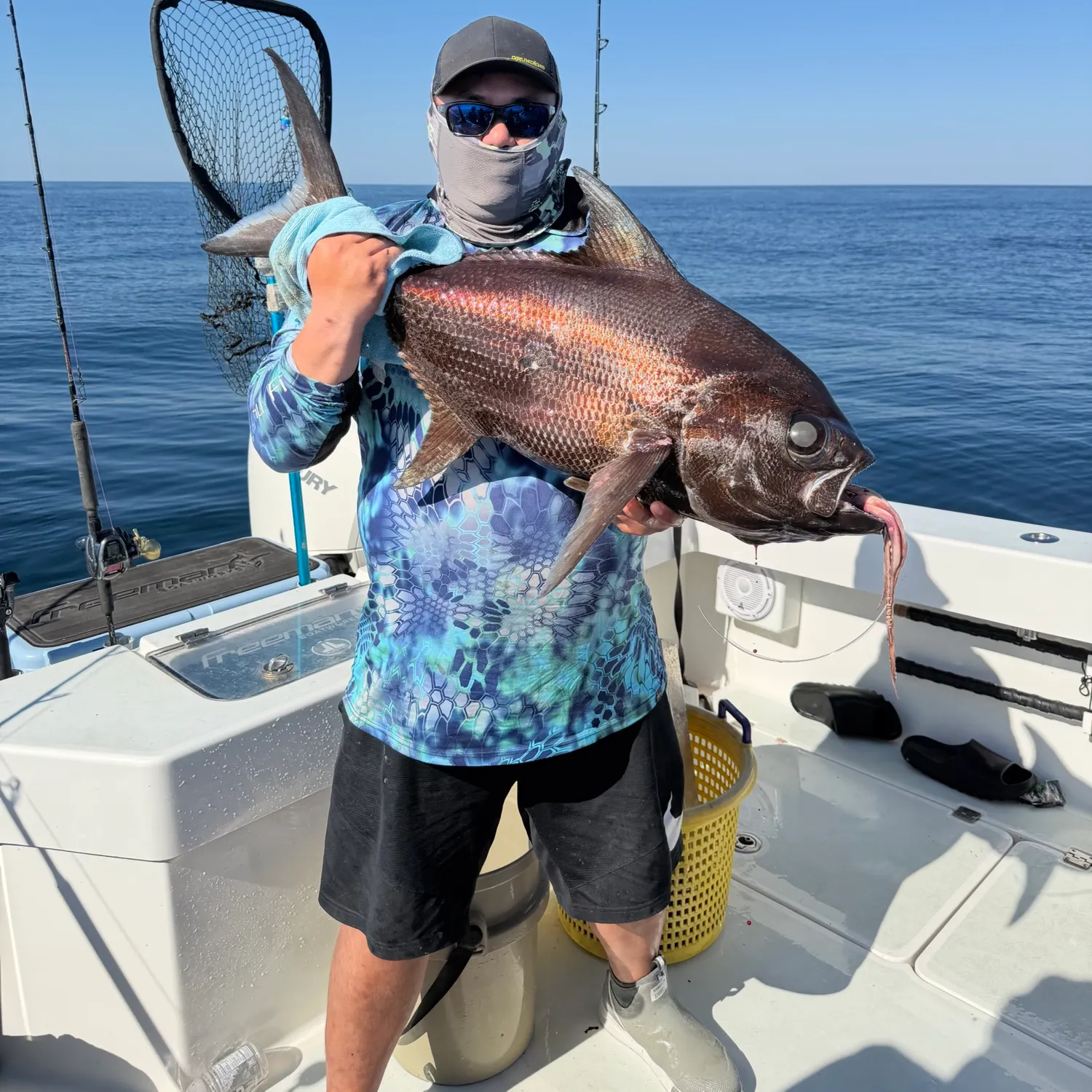 The most recent Brilliant pomfret catches on Fishbrain