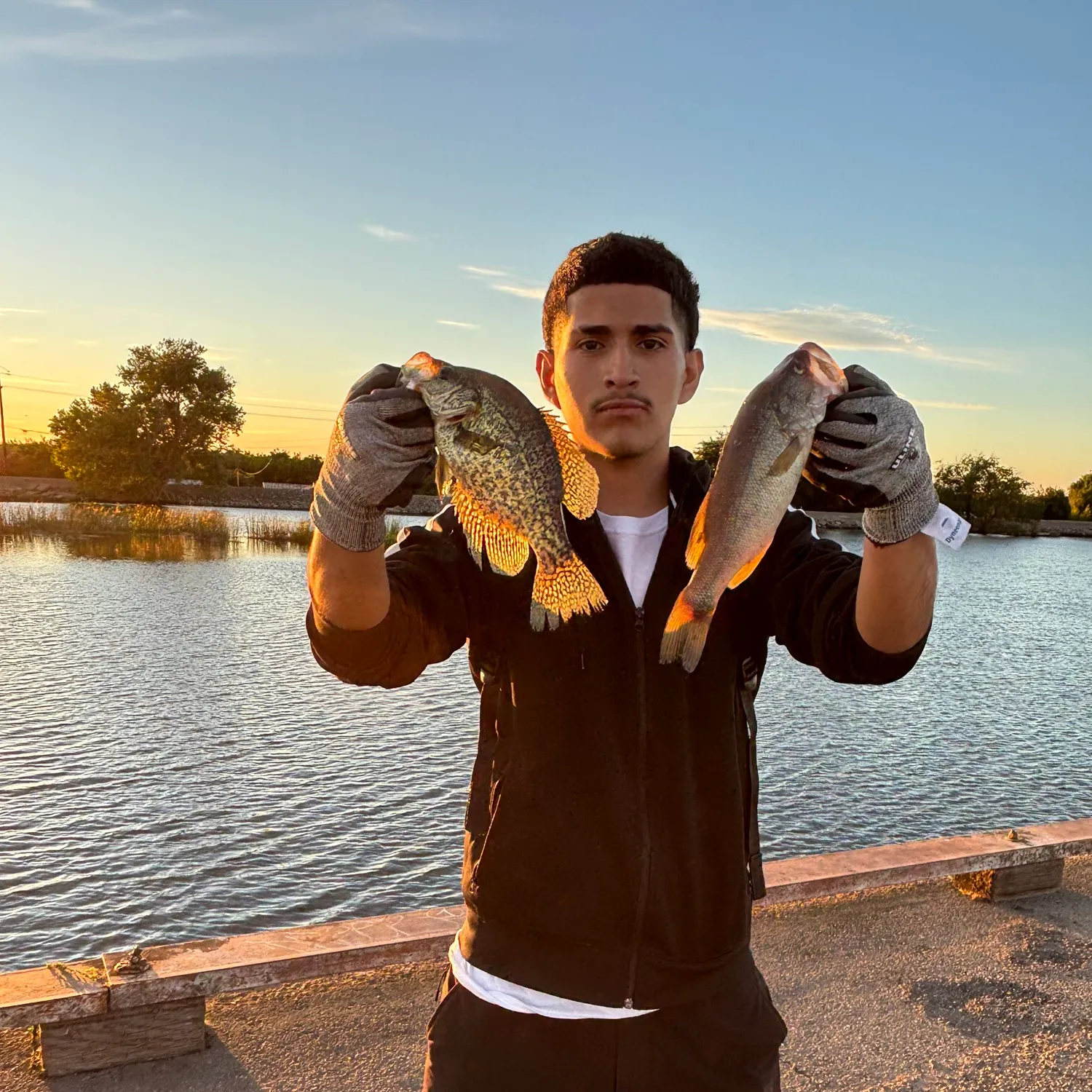 Bluegill caught on Fishbrain