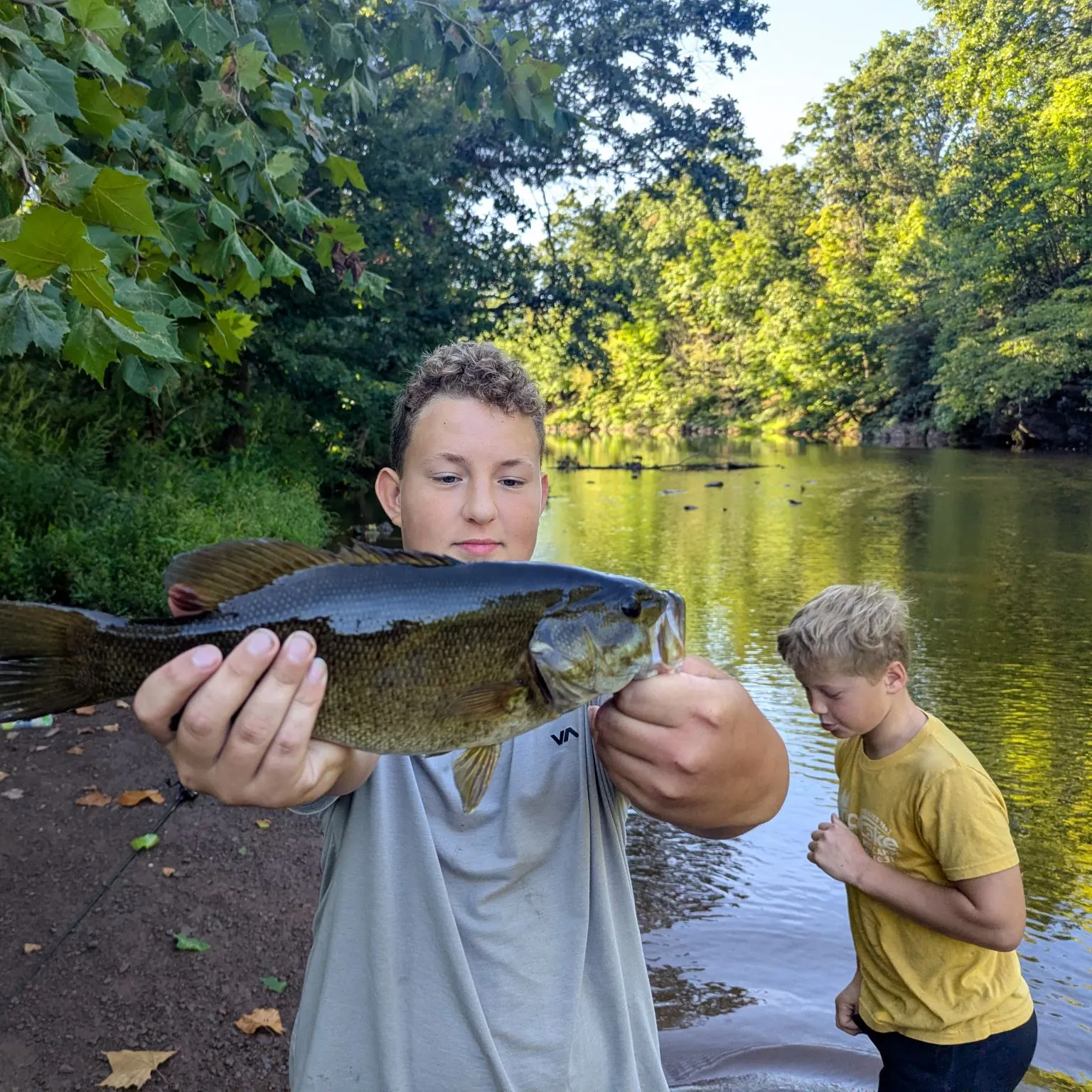 Smallmouth bass caught on Fishbrain