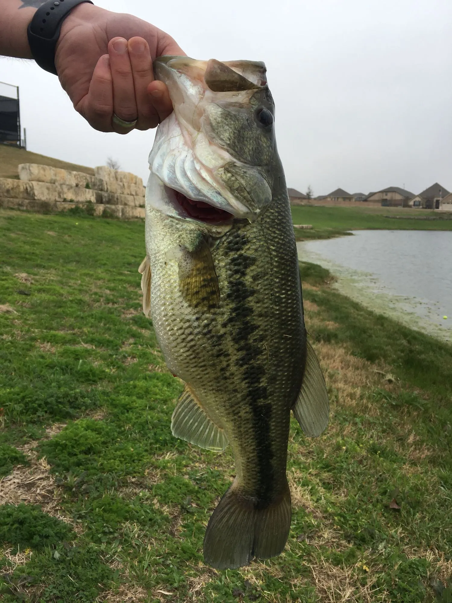 Post image from EismanBassin