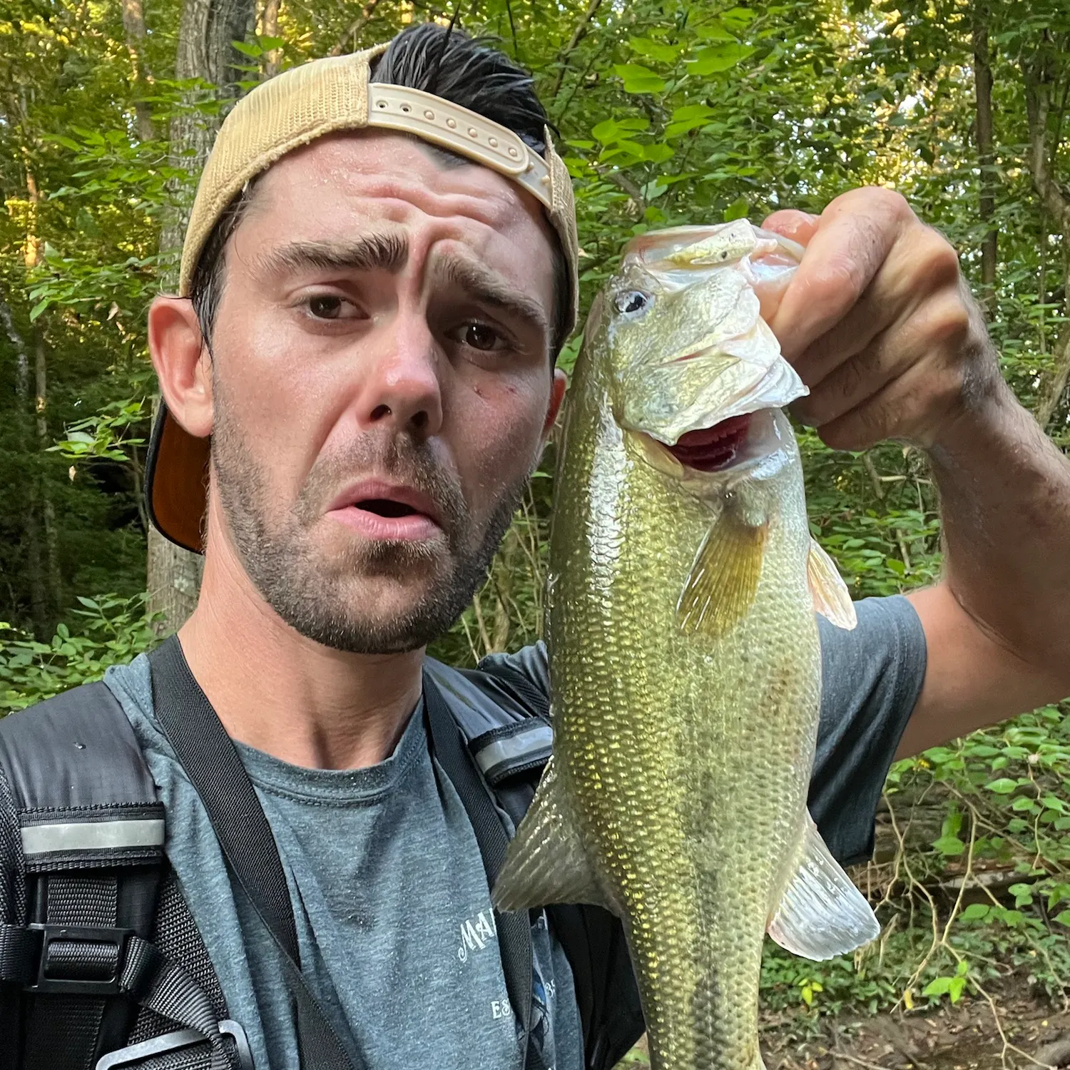 Largemouth bass caught on Fishbrain