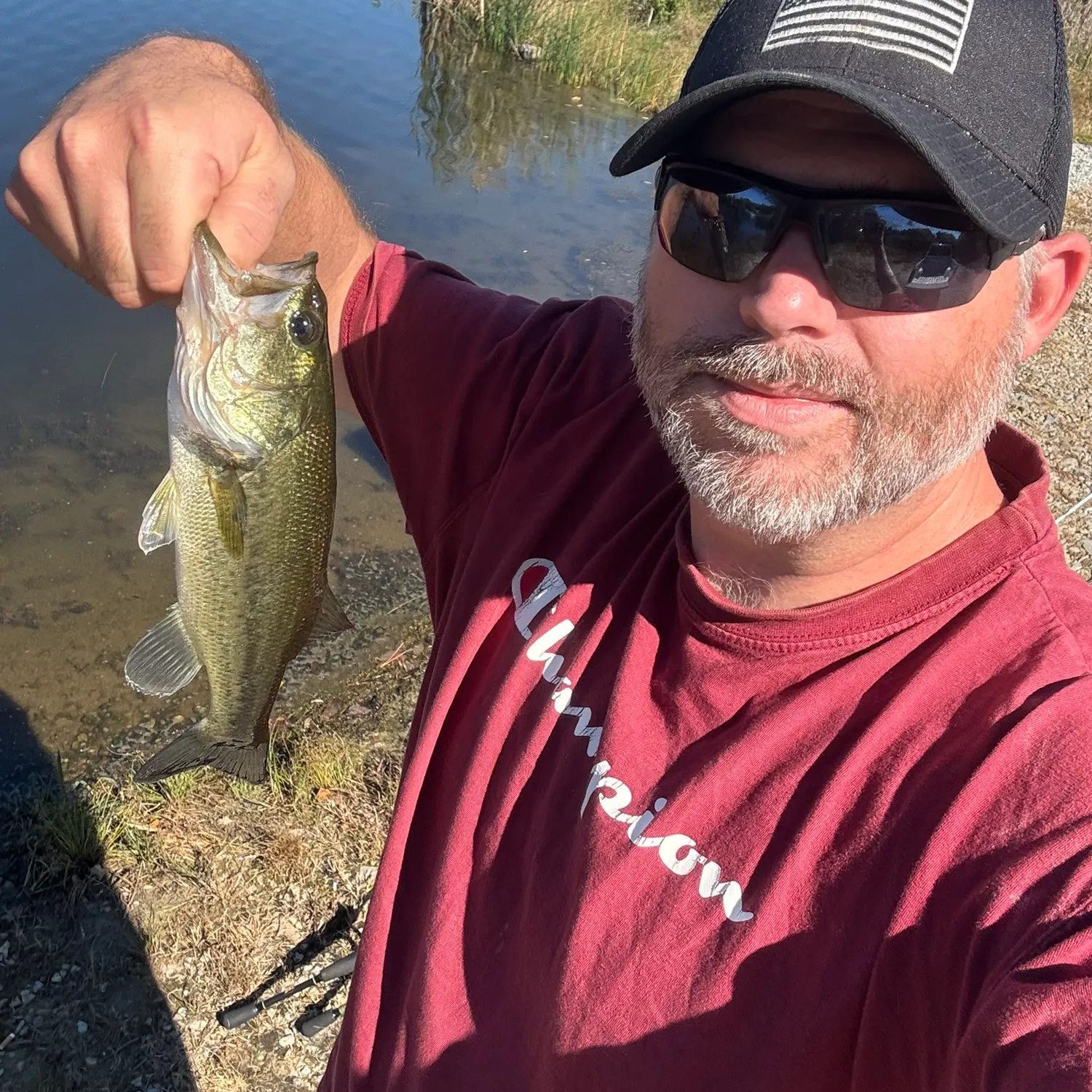 Largemouth bass caught on Fishbrain