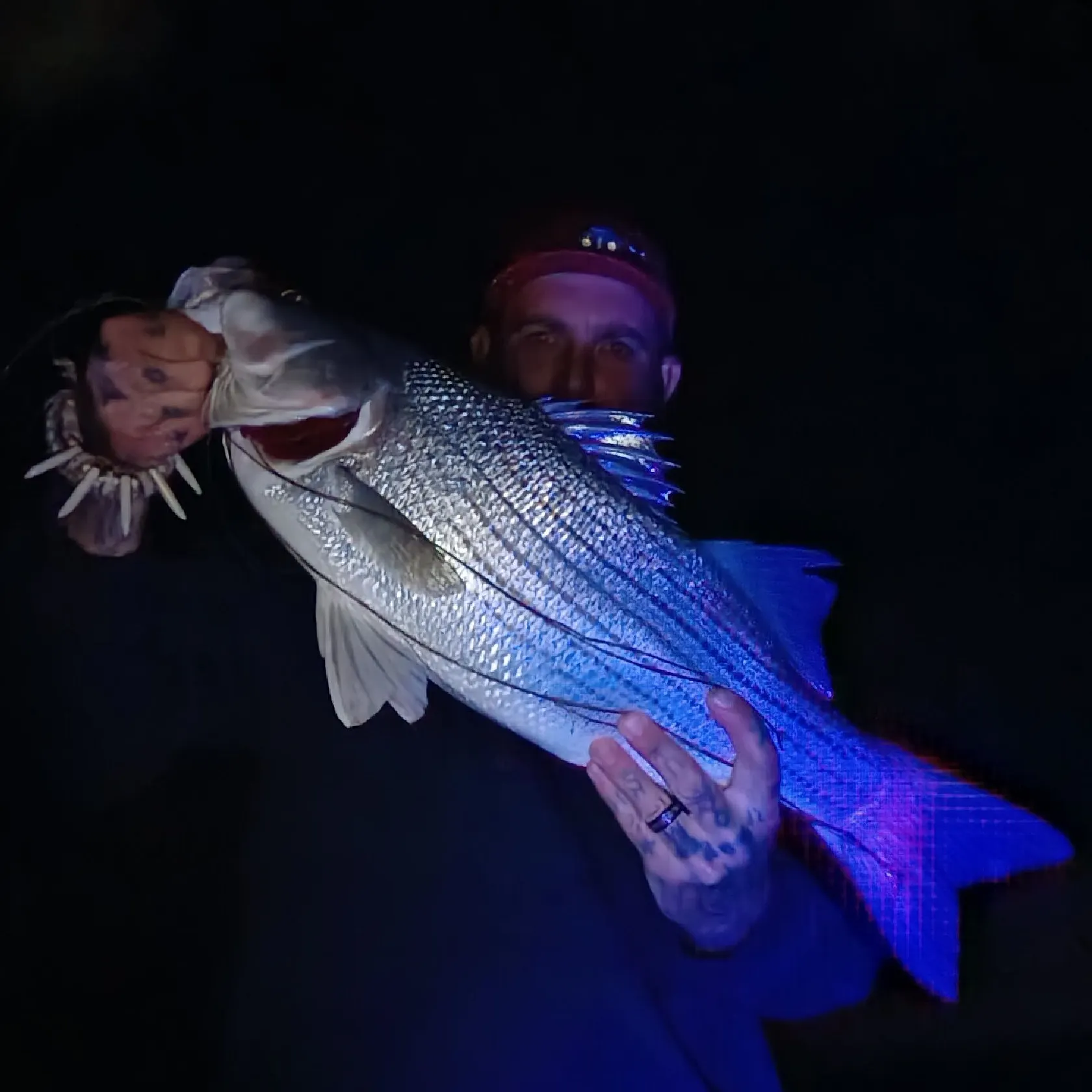 Wiper caught on Fishbrain