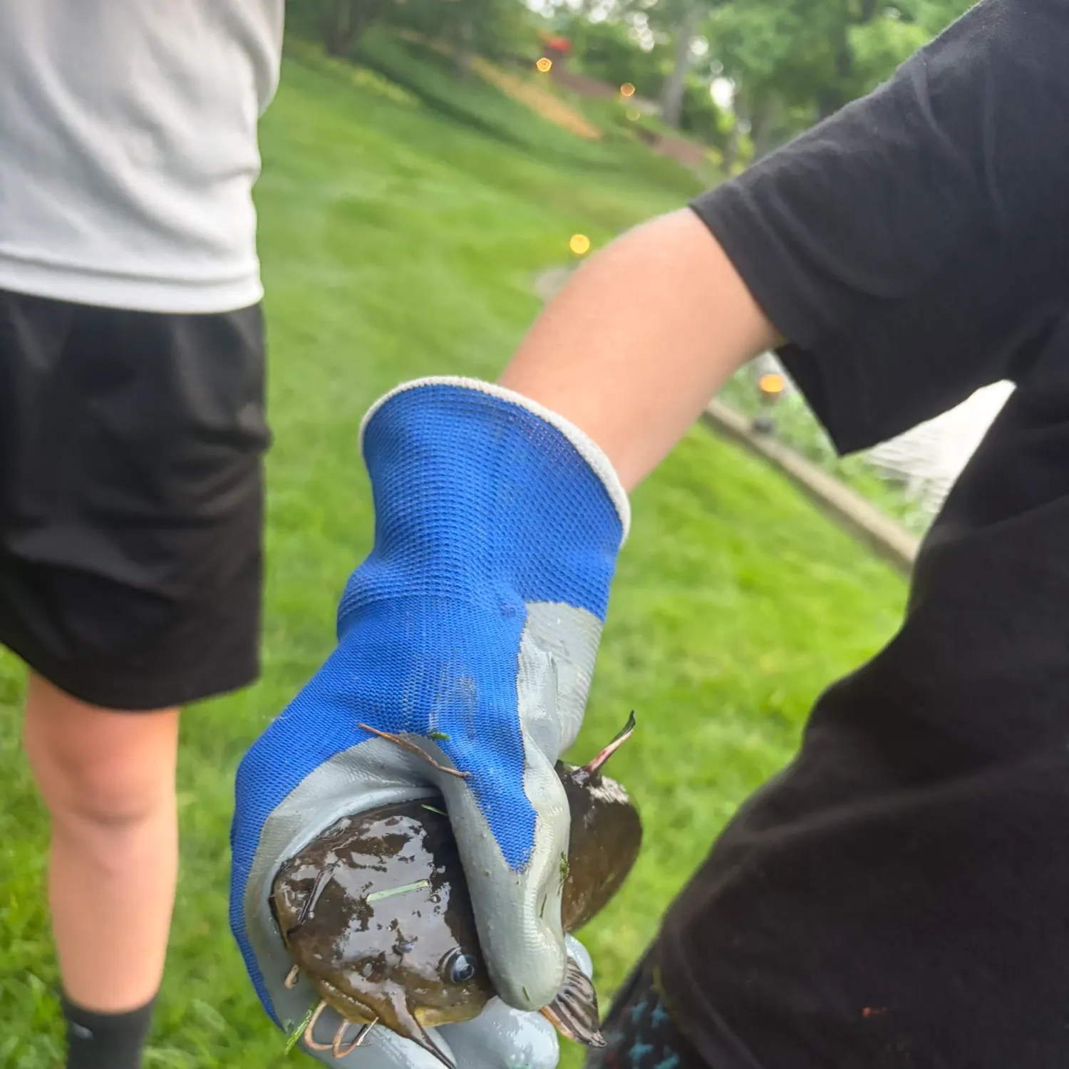 catch