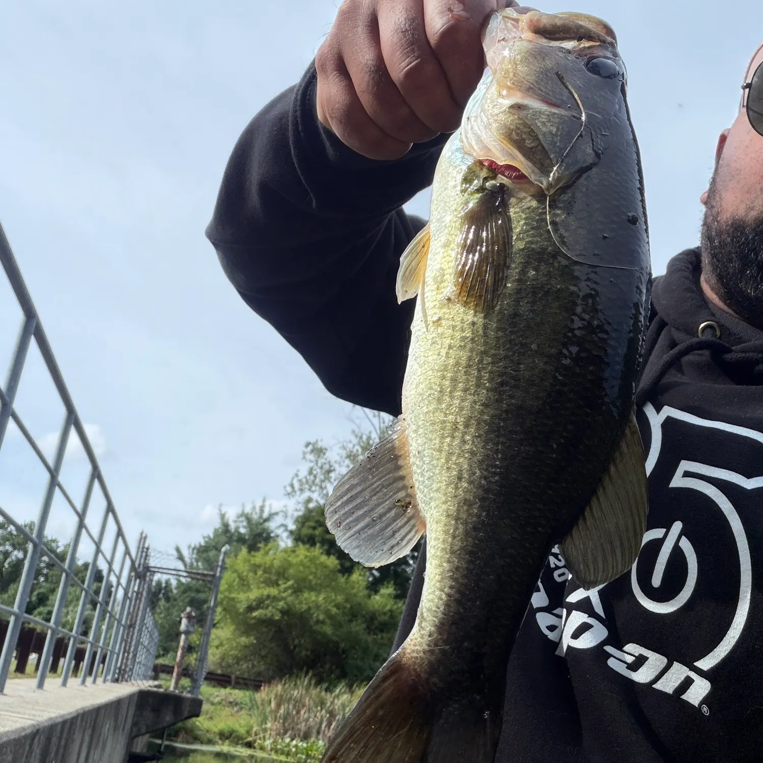 Largemouth bass caught on Fishbrain