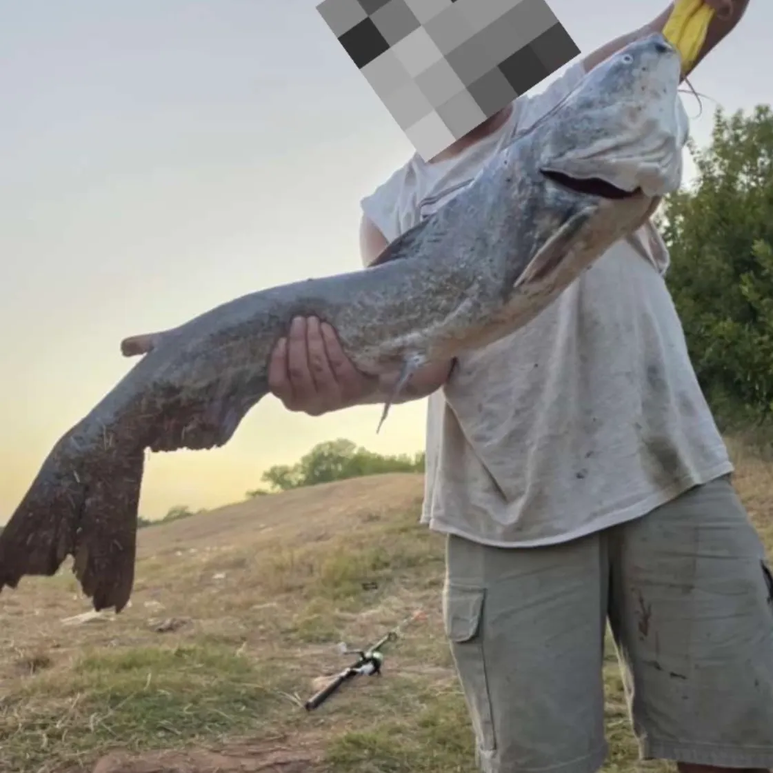 Blue catfish caught on Fishbrain