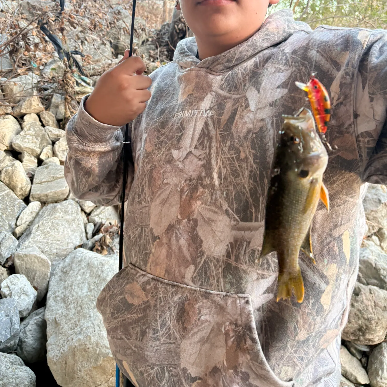 The most recent Green sunfish catches on Fishbrain