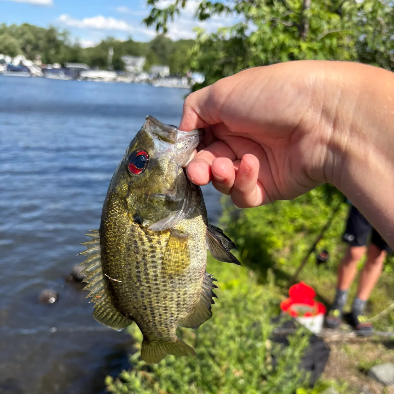 catch
