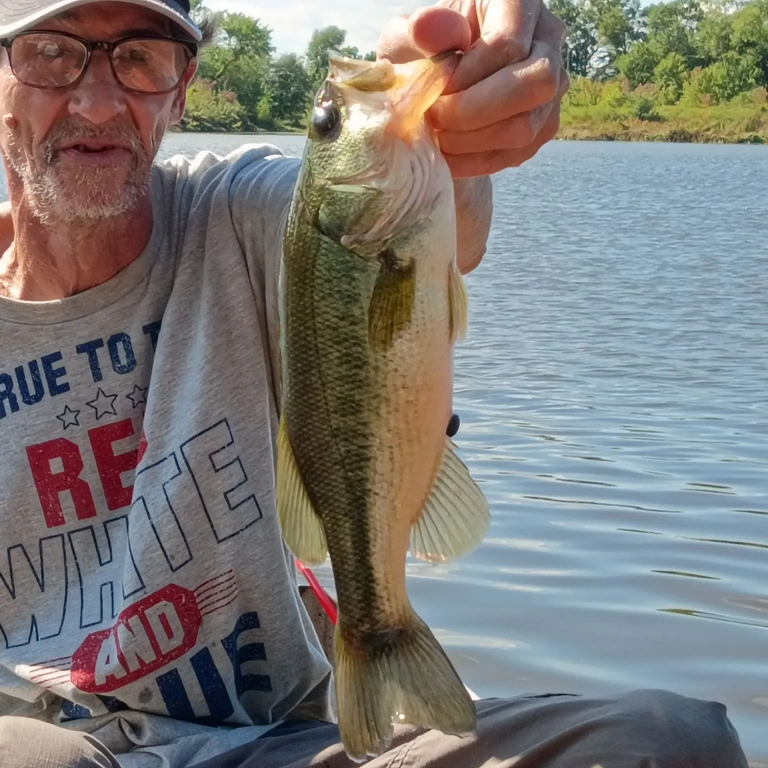 Largemouth bass caught on Fishbrain