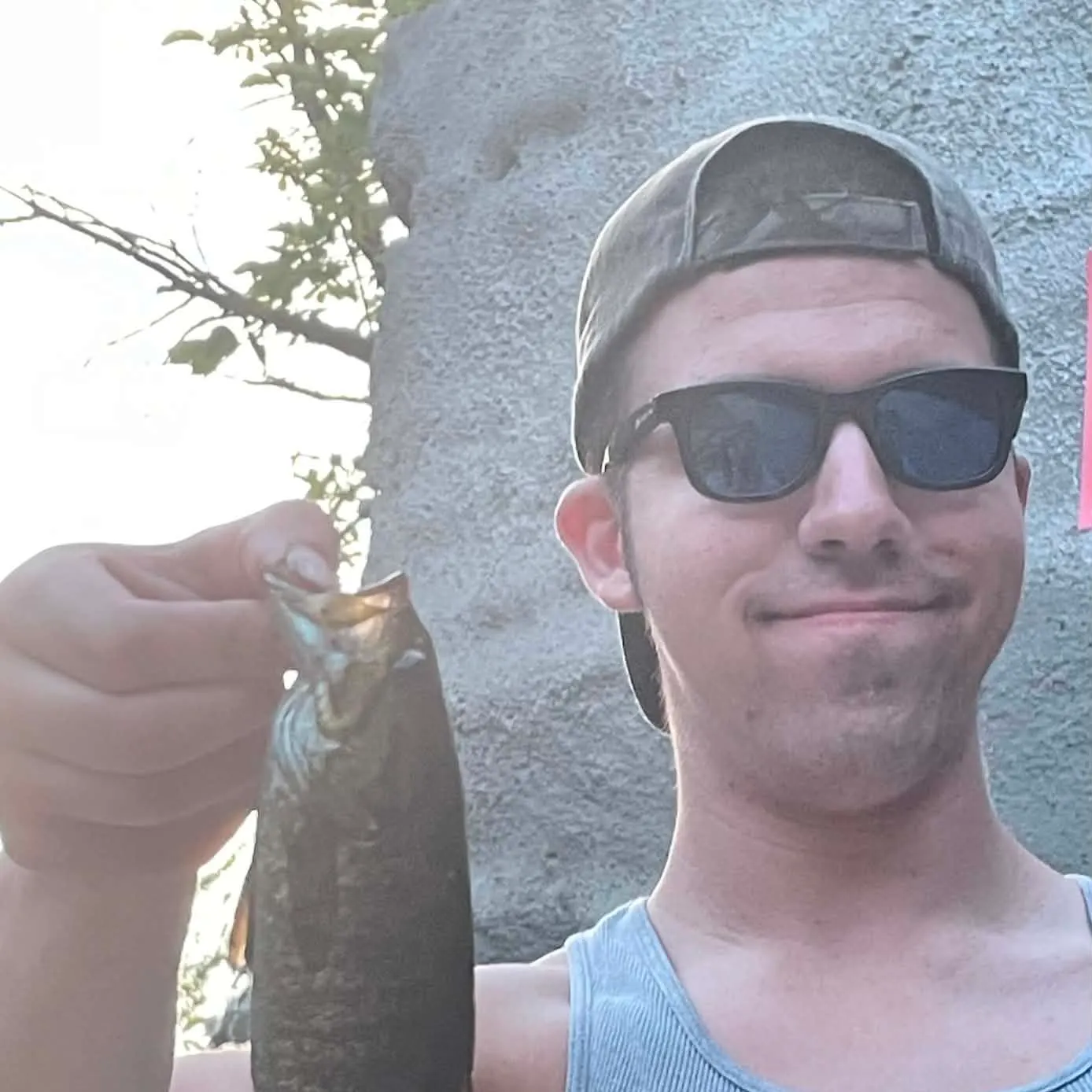 Smallmouth bass caught on Fishbrain