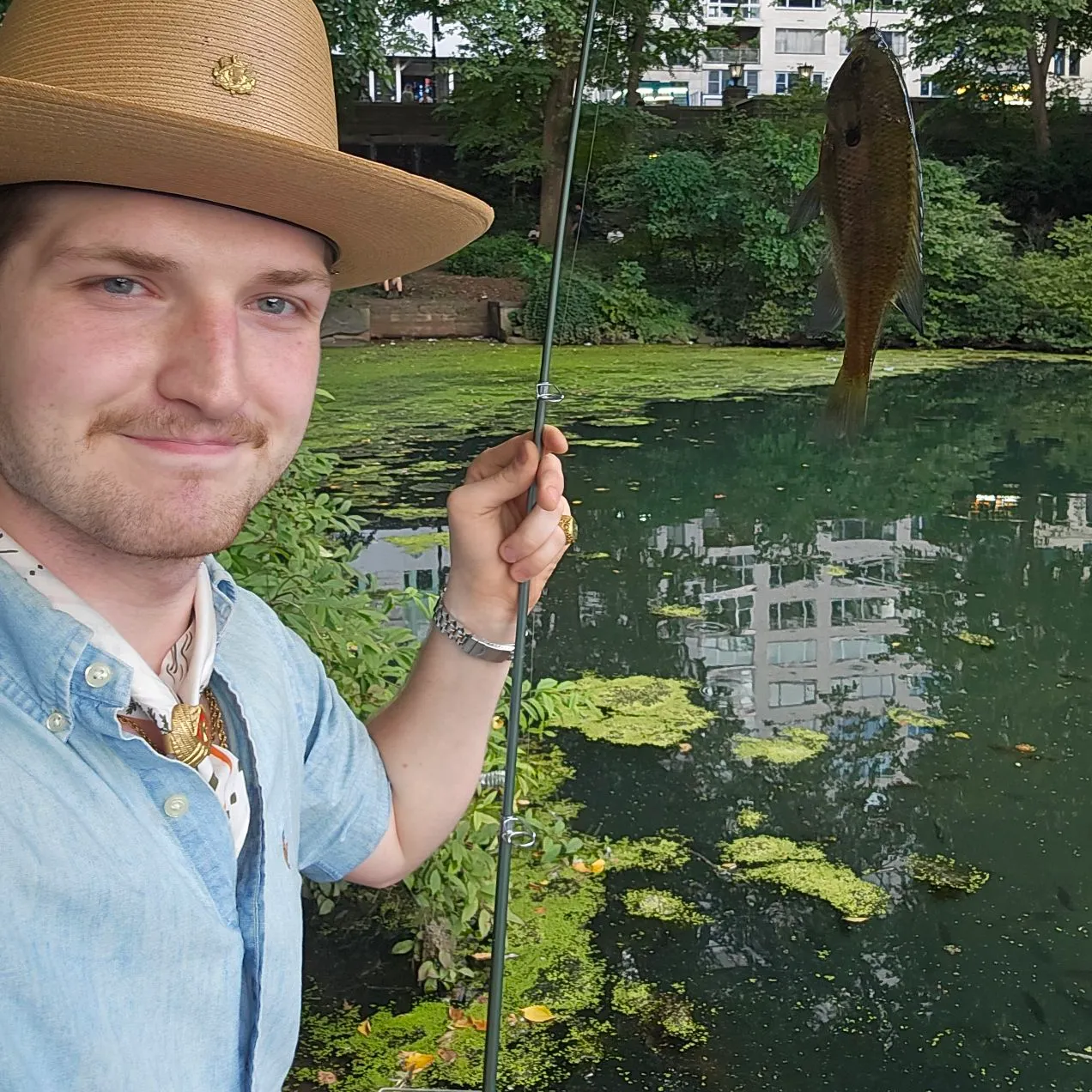 Bluegill caught on Fishbrain
