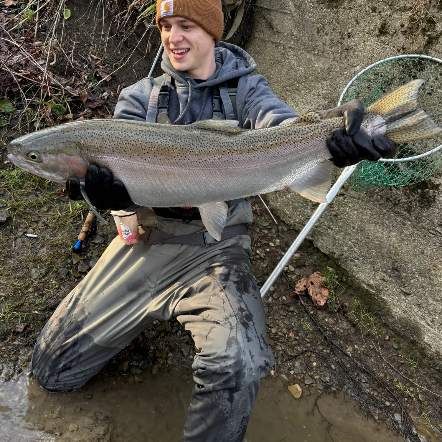 The most recent Steelhead catches on Fishbrain